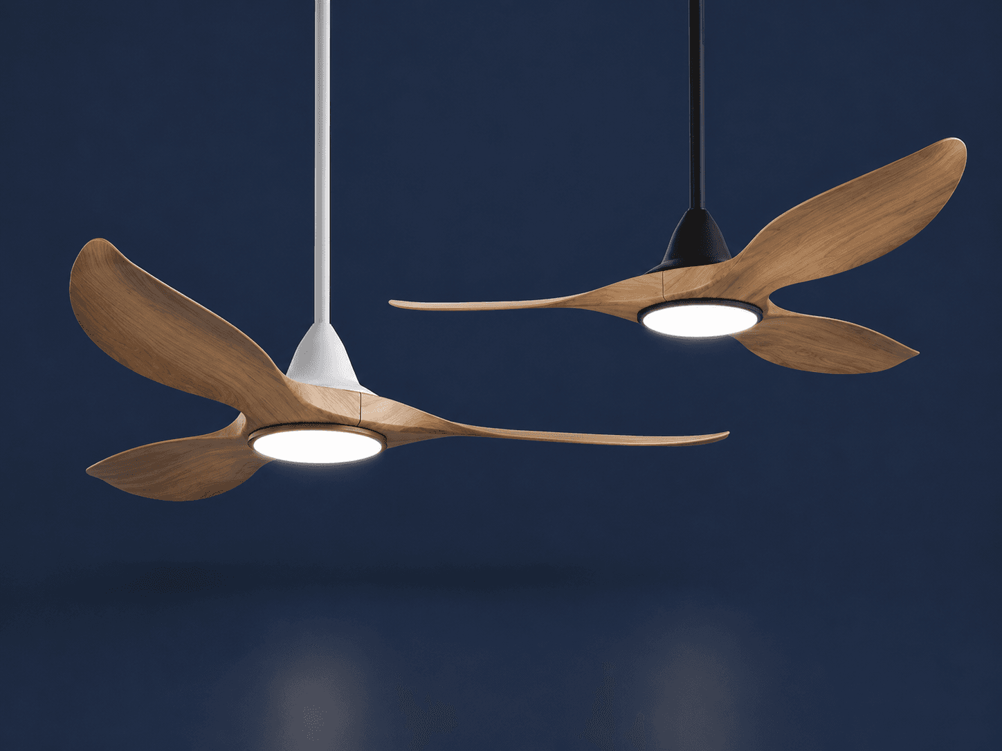 EFENZ Designer Fan